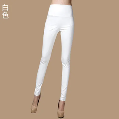 Autumn Winter Women Thin Velvet PU Leather Pants