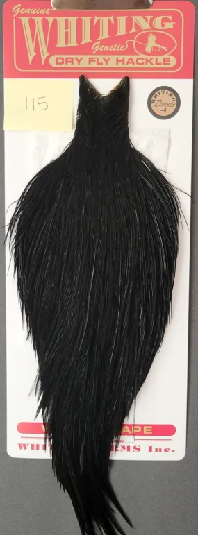 Flash Sale Hackle 115 - Whiting Cape Bronze - Black (sizes 8-22)