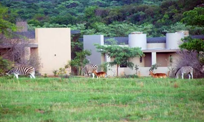Limpopo: 1-Night Stay for Two at Legend Simba Safari