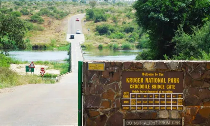 Mpumalanga: 1 or 2--Night stay for up to four at Trees Too Guest Lodge