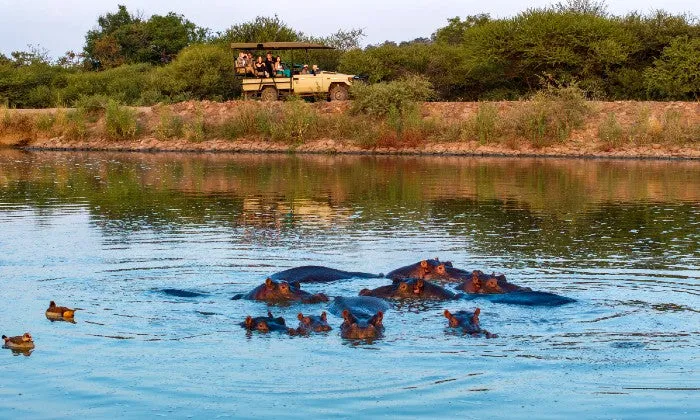 North West: 2-Night Stay for Two including Breakfast, Dinner, Romantic Turndown & Game Drive at Award Winning Game Reserve