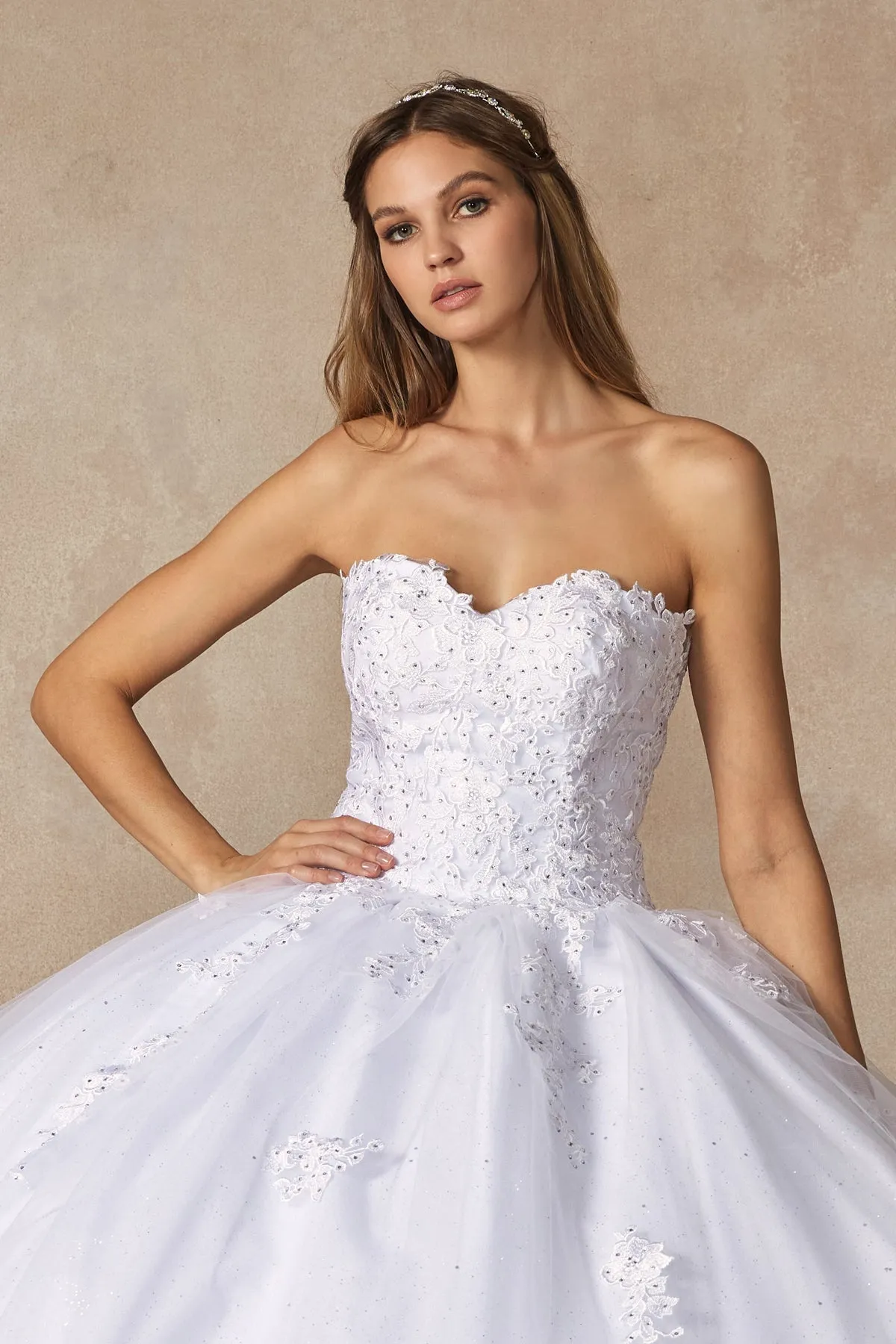 Quinceañera dress JT1440