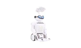 Smart RC Robot