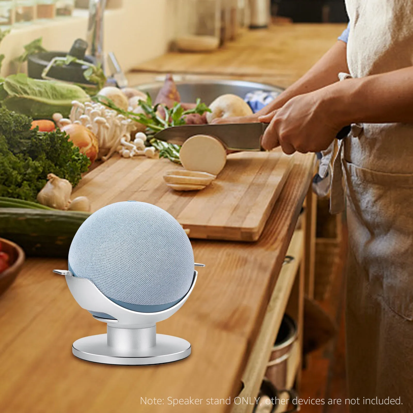Smart Speaker Stand