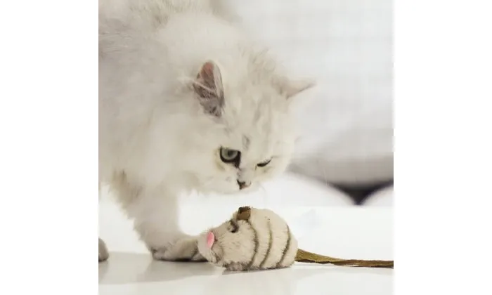 Squeak Cat Toy