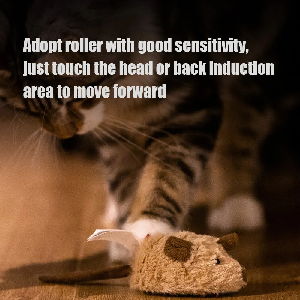Squeak Cat Toy