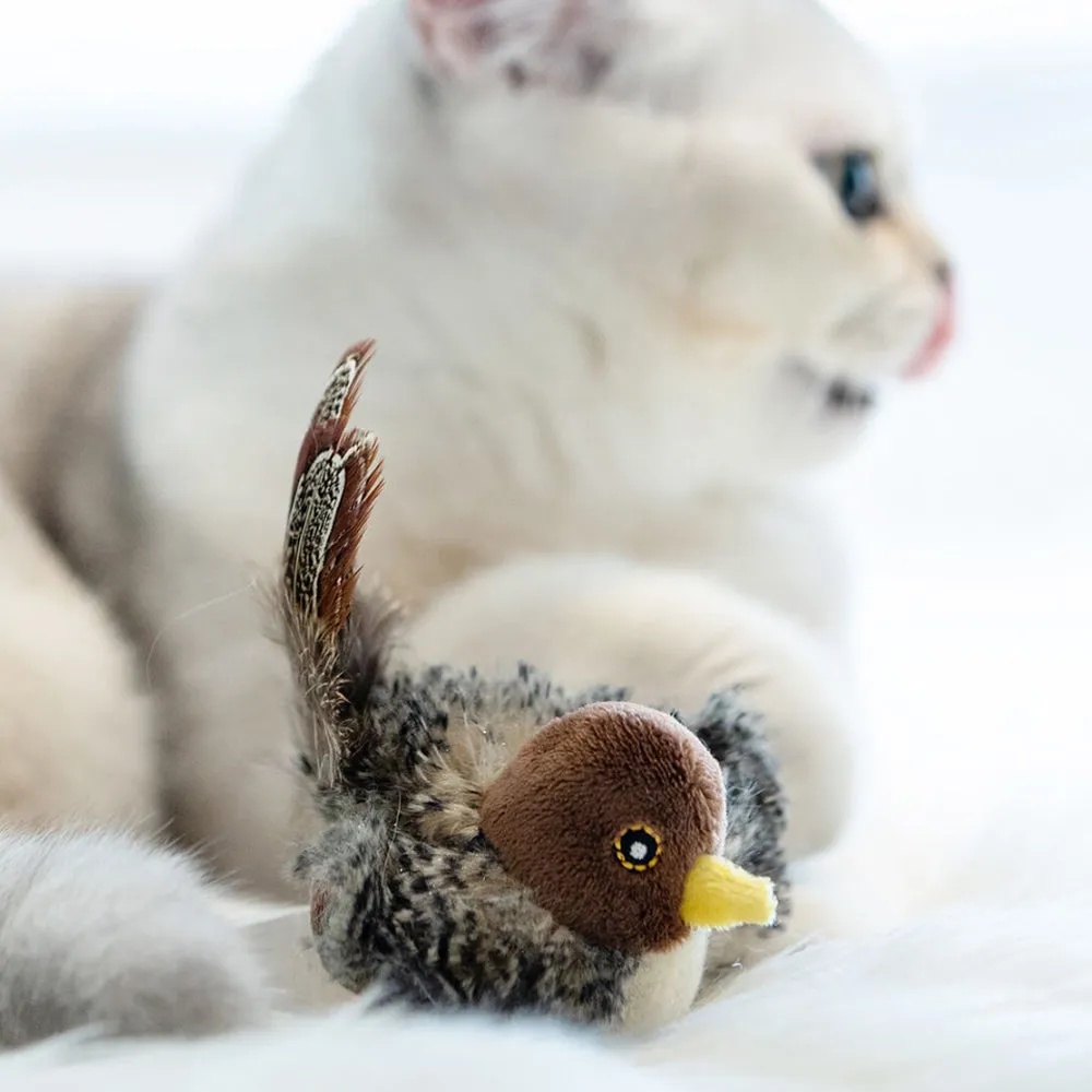 Squeak Cat Toy