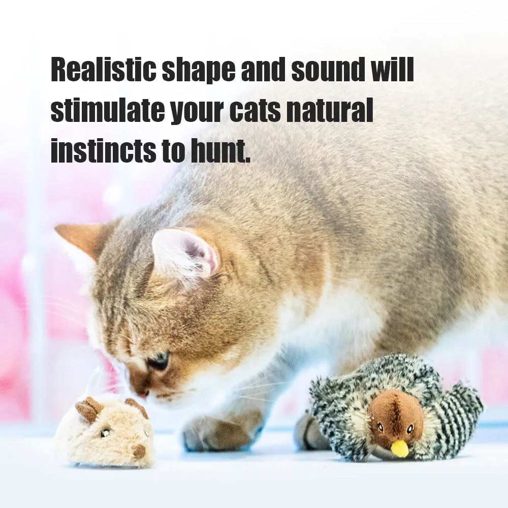 Squeak Cat Toy