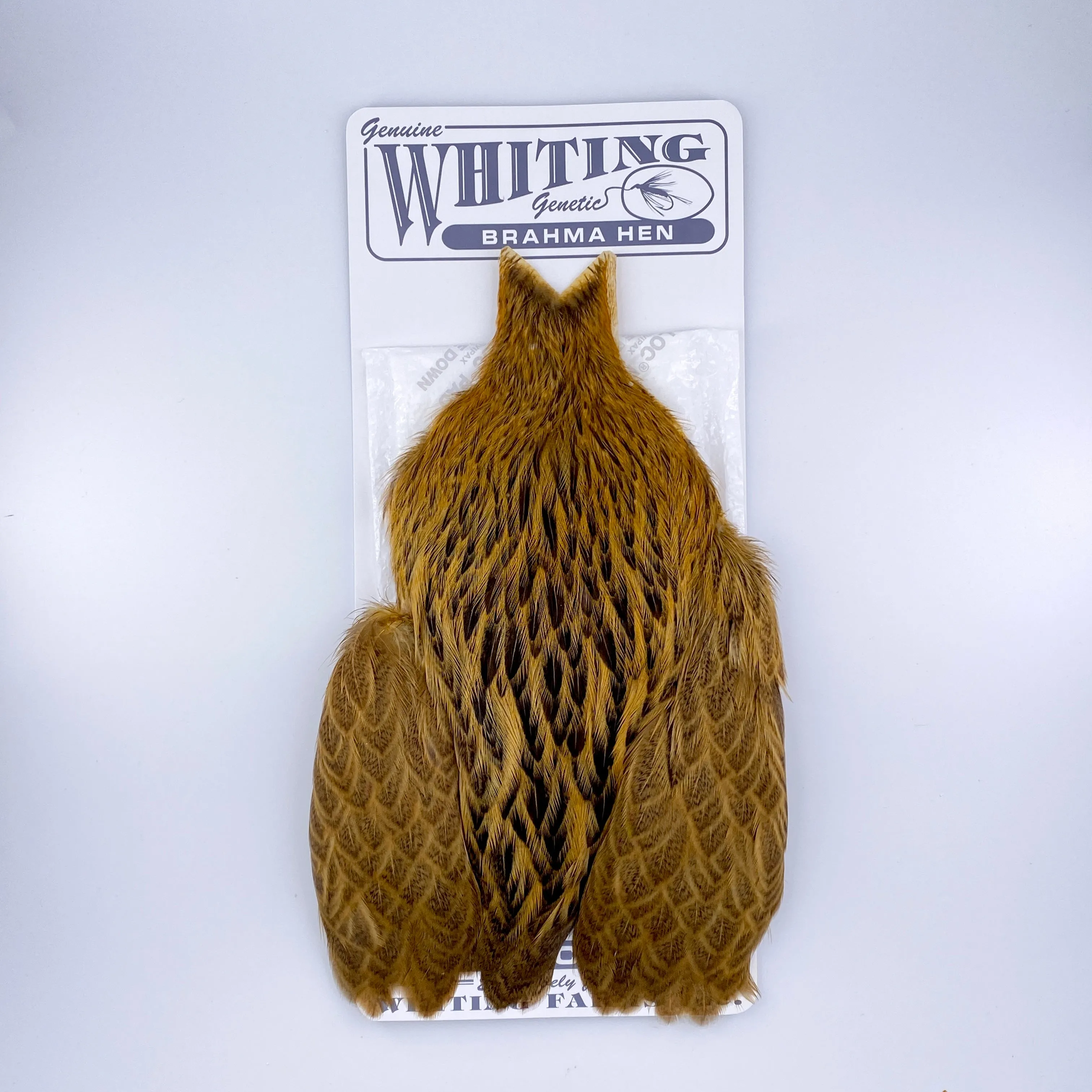 Whiting Brahma Hen Cape for Soft Hackles