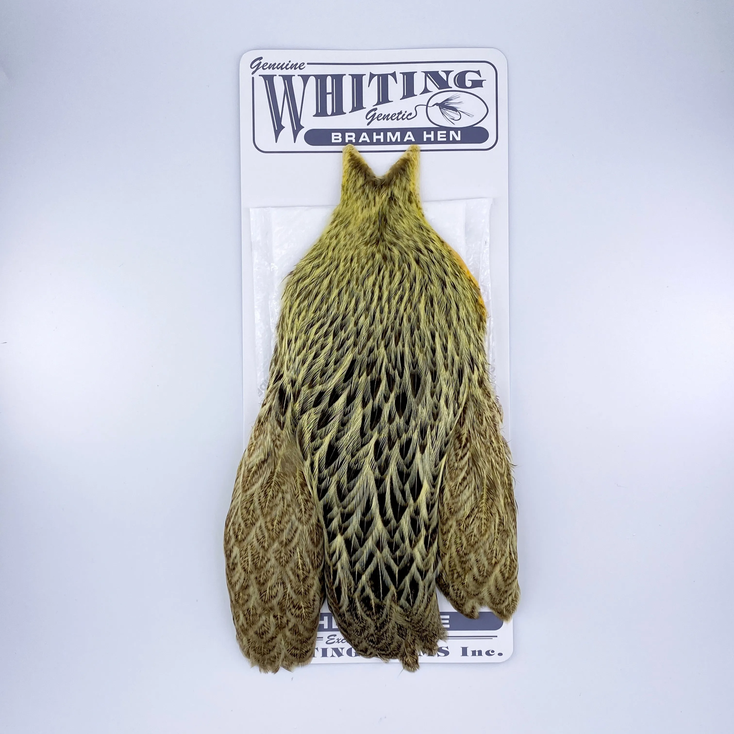 Whiting Brahma Hen Cape for Soft Hackles