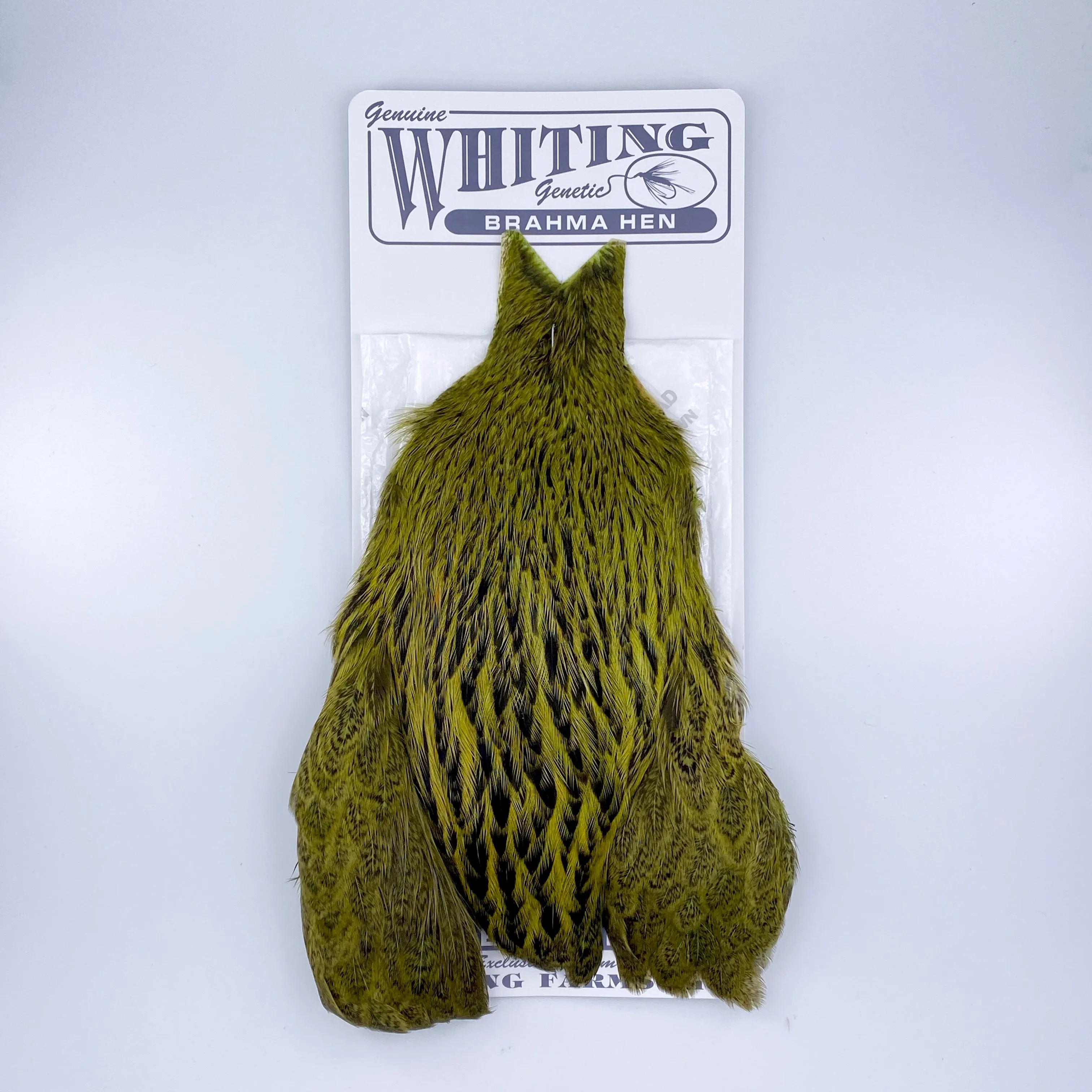 Whiting Brahma Hen Cape for Soft Hackles