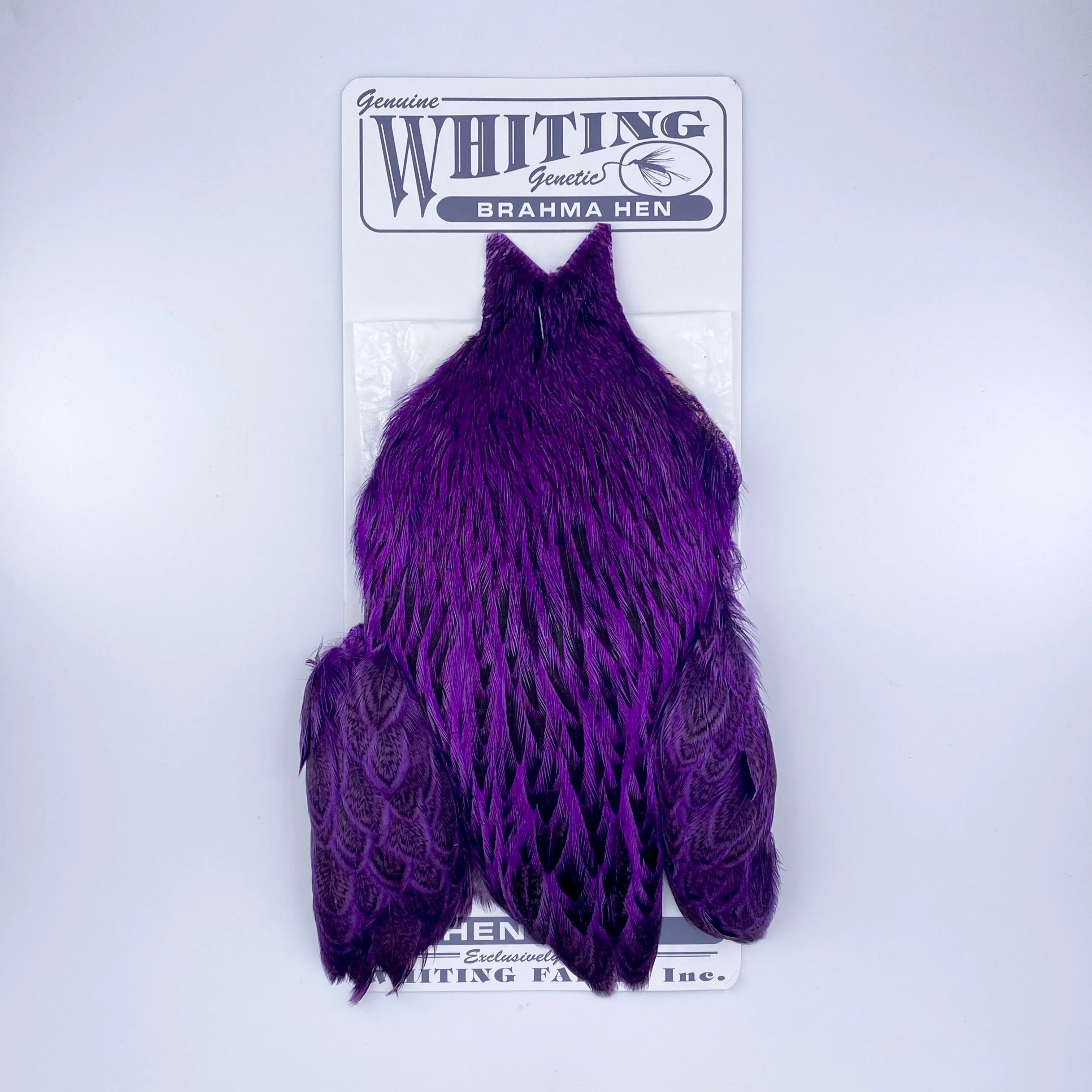 Whiting Brahma Hen Cape for Soft Hackles